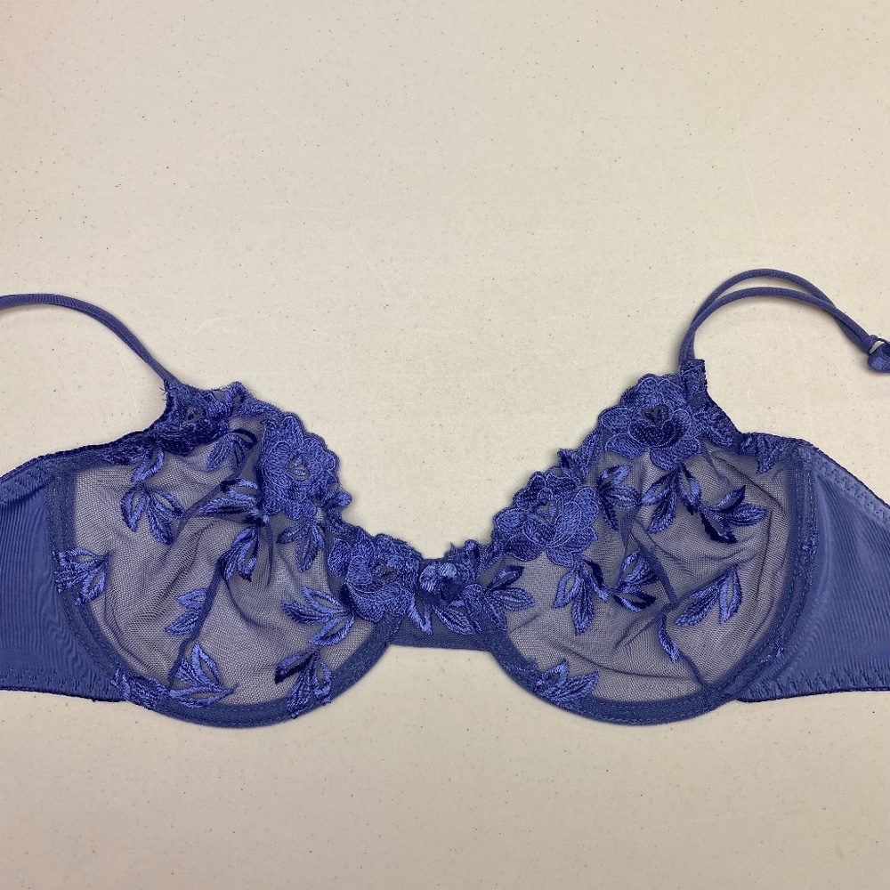 Jolie ROYAL BLUE Sheer Embroidered Underwire, 34D. *P1030